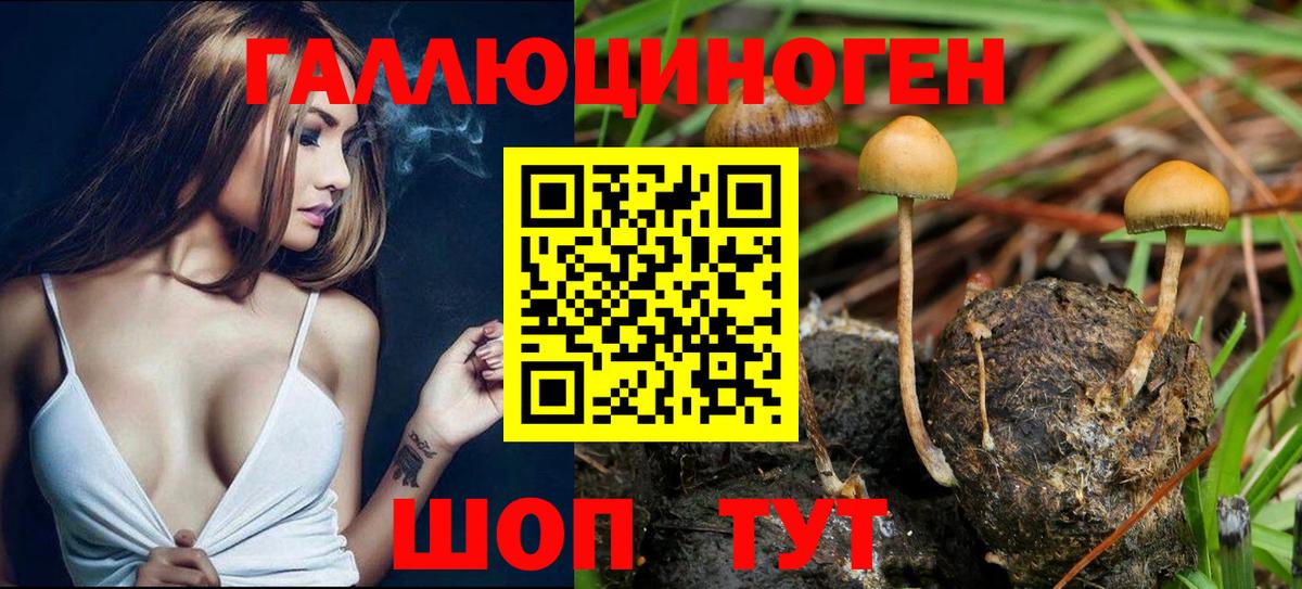 Псилоцибиновые грибы GOLDEN TEACHER  Вход с VPN  Архангельск 